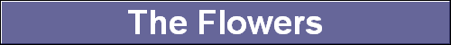 The Flowers